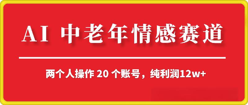 AI 中老年情感赛道，两个人操作 20 个账号，纯利润12w+
