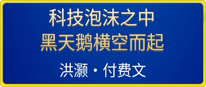 洪灏付费文-科技泡沫之中，黑天鹅横空而起